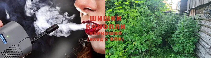 дарнет шоп  Ворсма  Бошки Шишки THC 21% 